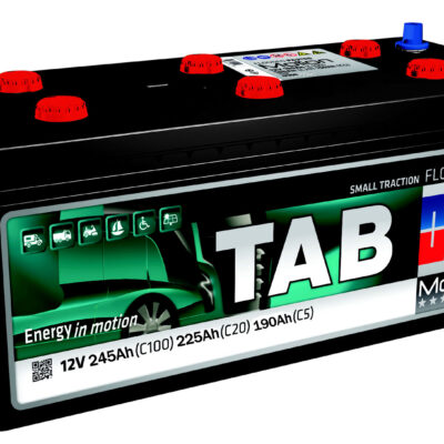 Baterías Monoblock